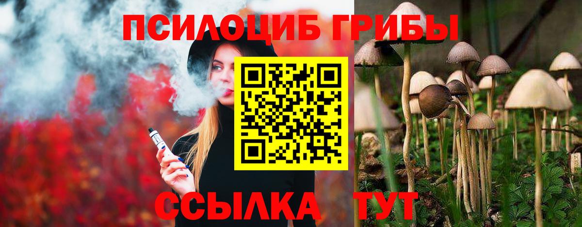Галлюциногенные грибы Psilocybine cubensis  Псилоцибиновые грибы Psilocybine cubensis  Вход с VPN  Новоалександровск 