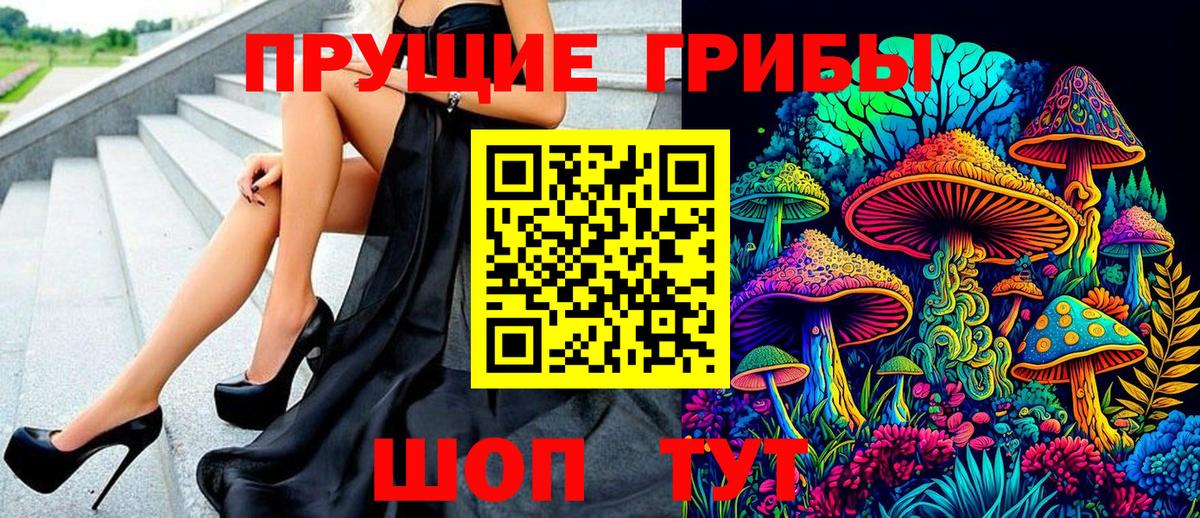 Псилоцибиновые грибы Psilocybe Новоалександровск