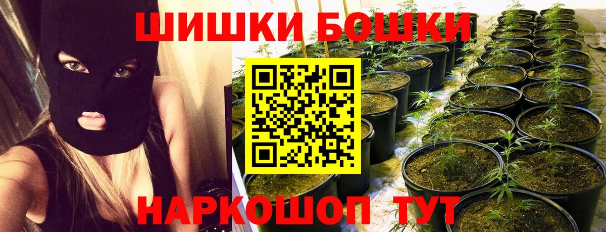 Бошки марихуана конопля  Вход с VPN  Бошки Шишки планчик  Канабис OG Kush  Новоалександровск  Канабис индика 
